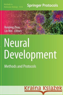 Neural Development: Methods and Protocols Zhou, Renping 9781627034432 Humana Press - książka