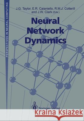 Neural Network Dynamics: Proceedings of the Workshop on Complex Dynamics in Neural Networks, June 17-21 1991 at Iiass, Vietri, Italy Taylor, J. G. 9783540197713 Springer - książka