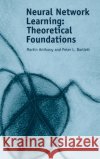 Neural Network Learning: Theoretical Foundations Anthony, Martin 9780521573535 Cambridge University Press