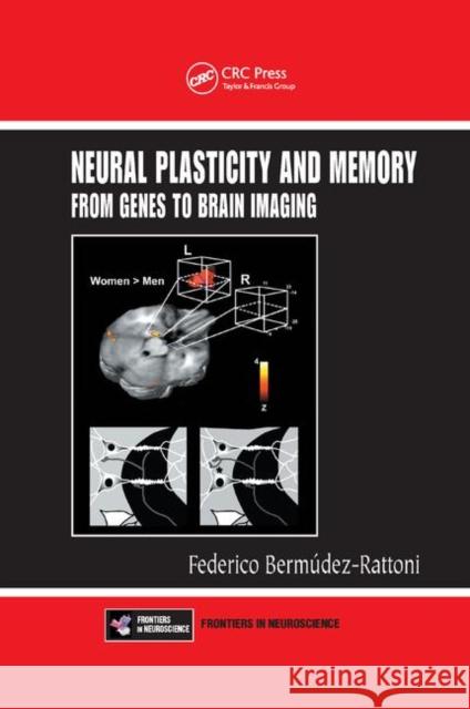 Neural Plasticity and Memory: From Genes to Brain Imaging Federico Bermudez-Rattoni 9780367389222 CRC Press - książka