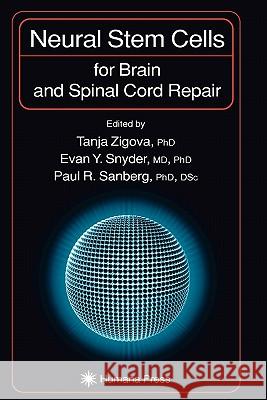 Neural Stem Cells for Brain and Spinal Cord Repair Tanja Zigova 9781617372988 Springer - książka