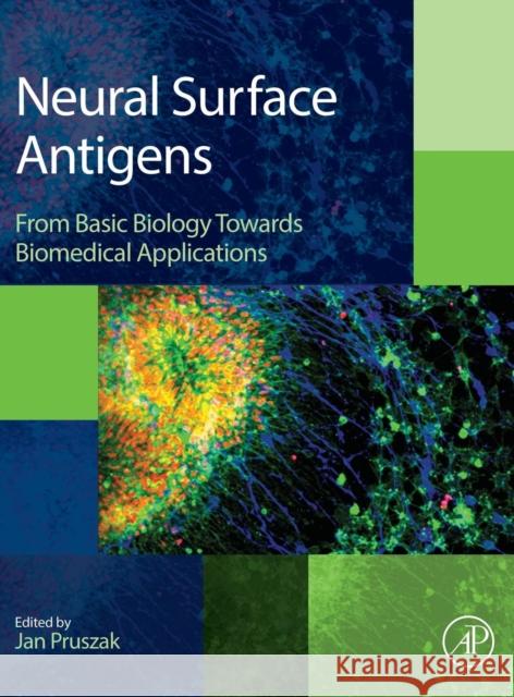 Neural Surface Antigens: From Basic Biology Towards Biomedical Applications Pruszak, Jan 9780128007815 Academic Press - książka