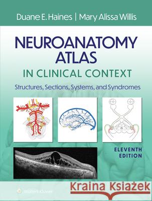 Neuroanatomy Atlas in Clinical Context: Structures, Sections, Systems, and Syndromes Duane E. Haines Mary Alissa Willis 9781975197292 LWW - książka