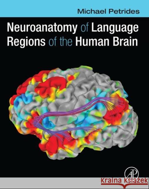 Neuroanatomy of Language Regions of the Human Brain Petrides, Michael   9780124055148 Elsevier Science - książka