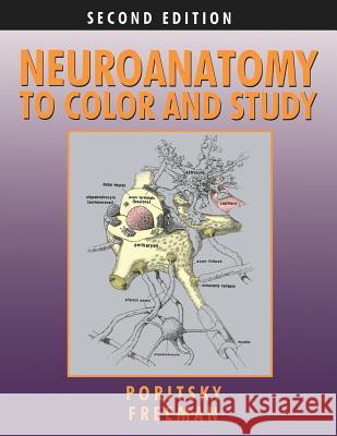 Neuroanatomy to Color and Study Ray Poritsky Barbara K. Freeman 9780983578413 Converpage - książka