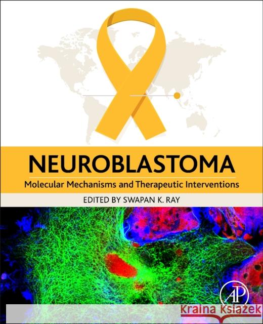 Neuroblastoma: Molecular Mechanisms and Therapeutic Interventions Swapan K. Ray 9780128120057 Academic Press - książka