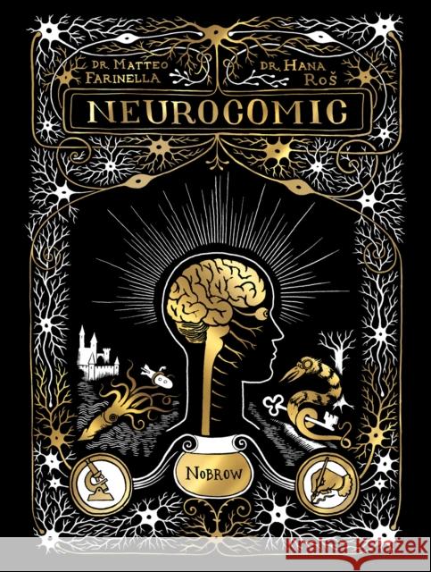 Neurocomic Hana Ros 9781913123086 Nobrow Ltd - książka