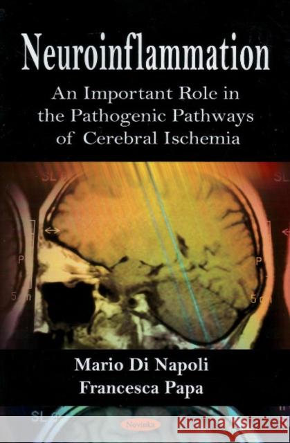 Neuroinflammation: An Important Role in the Pathogenic Pathways of Cerebral Ischemia Mario Di Napoli 9781606920305 Nova Science Publishers Inc - książka