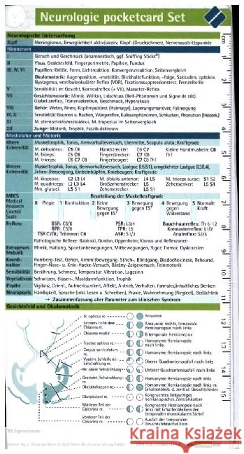 Neurologie pocketcard Set, Kartenfächer Stuckrad-Barre, Sebastian von, Ilg, Rüdiger 9783898624312 Börm Bruckmeier - książka