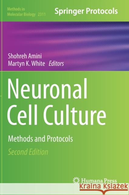 Neuronal Cell Culture: Methods and Protocols Shohreh Amini Martyn K. White 9781071614365 Humana - książka