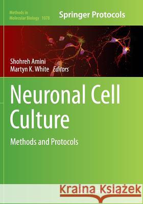 Neuronal Cell Culture: Methods and Protocols Amini, Shohreh 9781493960644 Humana Press - książka