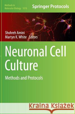 Neuronal Cell Culture: Methods and Protocols Amini, Shohreh 9781627036399 Humana Press - książka