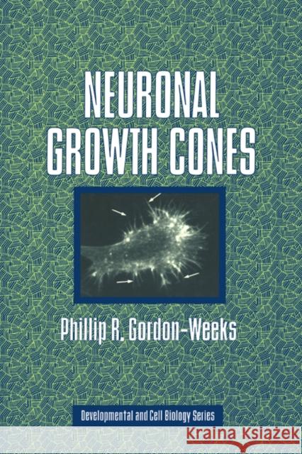 Neuronal Growth Cones Phillip R. Gordon-Weeks Jonathan B. L. Bard Peter W. Barlow 9780521018548 Cambridge University Press - książka