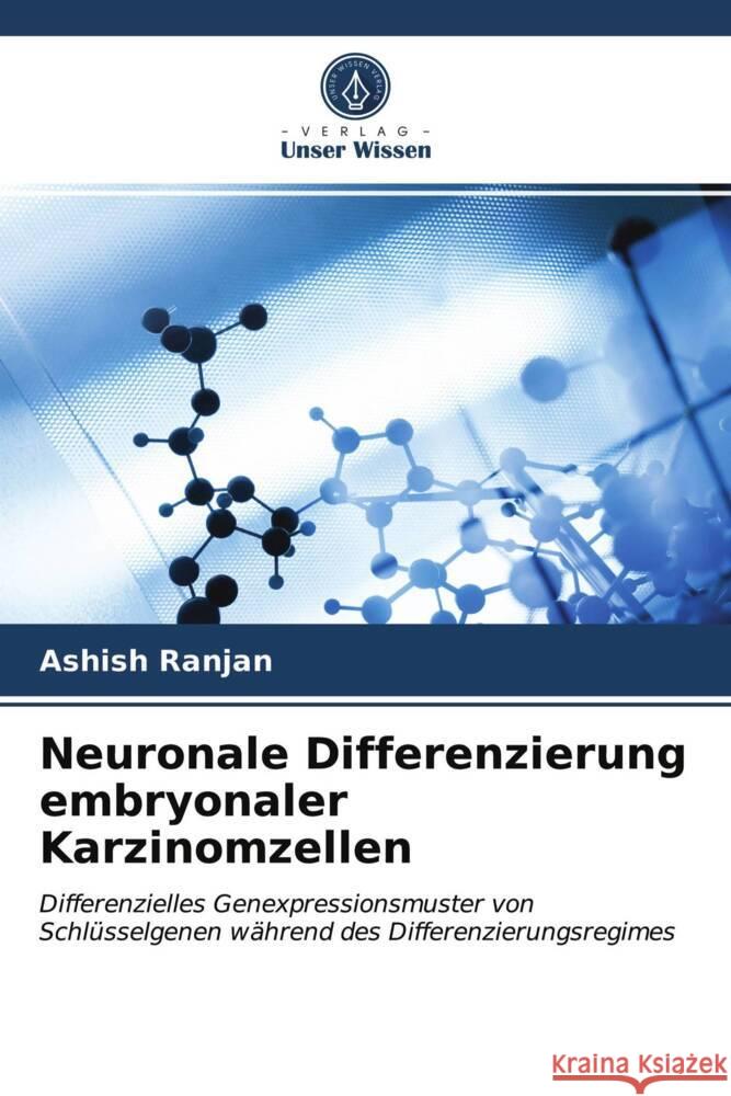 Neuronale Differenzierung embryonaler Karzinomzellen Ranjan, Ashish 9786203115499 Verlag Unser Wissen - książka