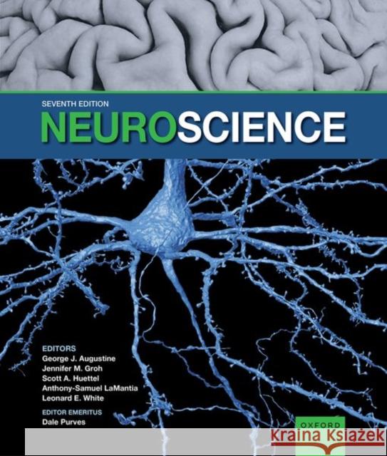 Neuroscience Dale Purves George J. Augustine Jennifer M. Groh 9780197616246 Oxford University Press, USA - książka