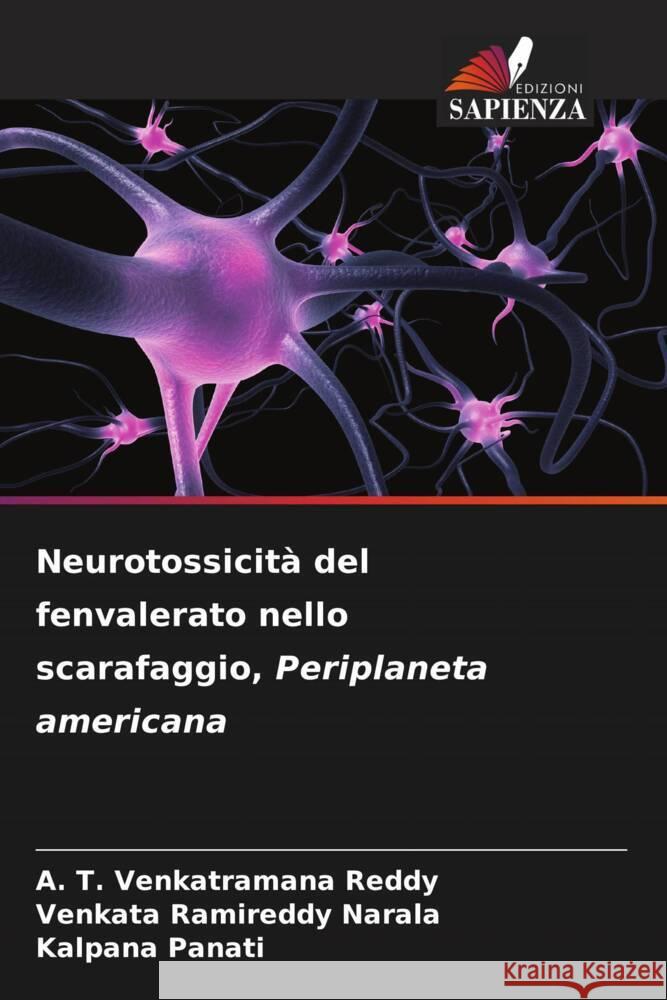 Neurotossicità del fenvalerato nello scarafaggio, Periplaneta americana Venkatramana Reddy, A. T., Narala, Venkata Ramireddy, Panati, Kalpana 9786206589679 Edizioni Sapienza - książka