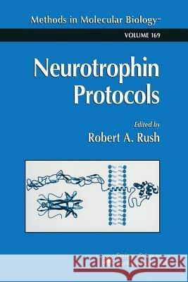 Neurotrophin Protocols Robert A. Rush 9781489939838 Humana Press - książka