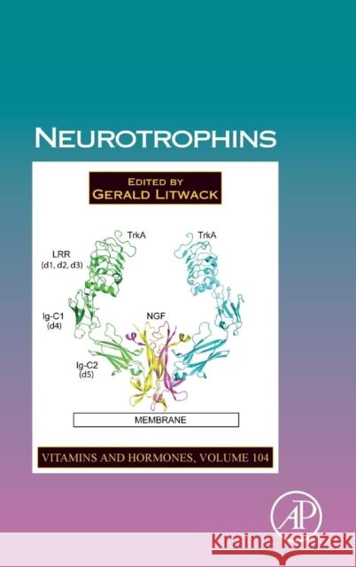 Neurotrophins: Volume 104 Litwack, Gerald 9780128122631 Academic Press - książka