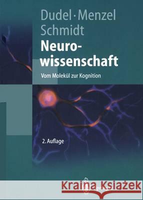 Neurowissenschaft: Vom Molekül Zur Kognition Dudel, Josef 9783642625343 Springer - książka