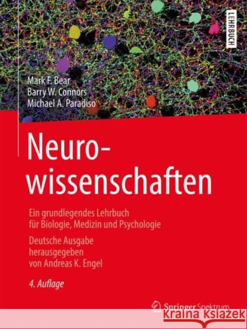 Neurowissenschaften: Ein Grundlegendes Lehrbuch Für Biologie, Medizin Und Psychologie Bear, Mark F. 9783662572627 Springer Fachmedien Wiesbaden - książka