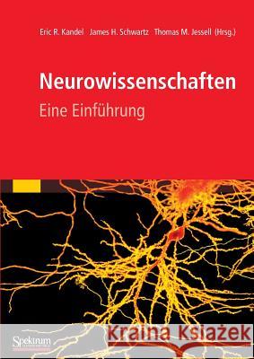 Neurowissenschaften: Eine Einführung Kandel, Eric 9783827429056 Spektrum Akademischer Verlag - książka