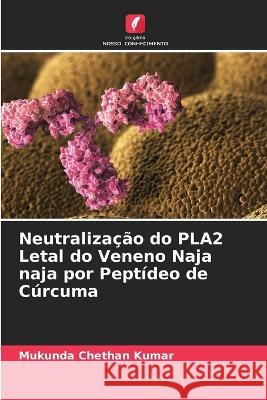 Neutralização do PLA2 Letal do Veneno Naja naja por Peptídeo de Cúrcuma Mukunda Chethan Kumar 9786203402377 International Book Market Service Ltd - książka