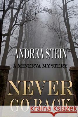 Never Go Back Andrea Stein 9781477632543 Createspace - książka