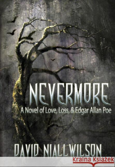 Nevermore David Niall Wilson 9781937530341 Crossroad Press - książka