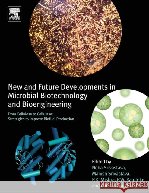 New and Future Developments in Microbial Biotechnology and Bioengineering: From Cellulose to Cellulase: Strategies to Improve Biofuel Production Srivastava, Neha 9780444642233 Elsevier - książka