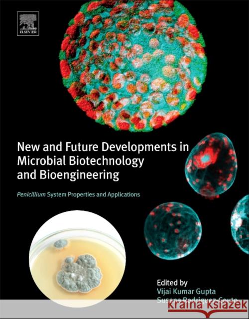 New and Future Developments in Microbial Biotechnology and Bioengineering: Penicillium System Properties and Applications Vijai G. Gupta 9780444635013 Elsevier - książka