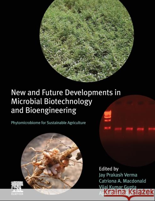 New and Future Developments in Microbial Biotechnology and Bioengineering: Phytomicrobiome for Sustainable Agriculture Jay Prakash Verma Catriona MacDonald Vijai Kumar Gupta 9780444643254 Elsevier - książka