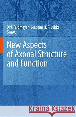 New Aspects of Axonal Structure and Function Dirk Feldmeyer Joachim H. R. Lubke 9781441916754 Not Avail - książka