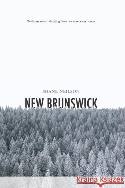 New Brunswick  9781771963053 Biblioasis - książka