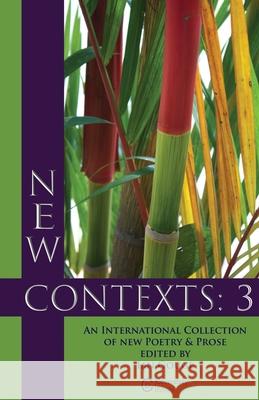 New Contexts: 3 Ian Gouge 9781739766023 Coverstory Books - książka