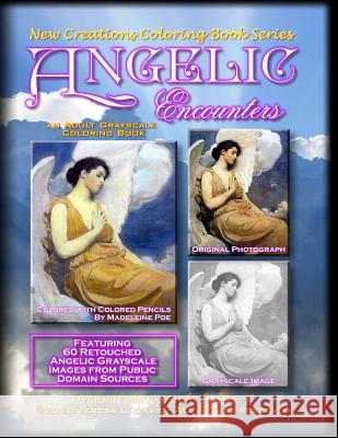 New Creations Coloring Book Series: Angelic Encounters Teresa Davis Brad Davis Teresa Davis 9781947121591 New Creations Coloring Book Series - książka