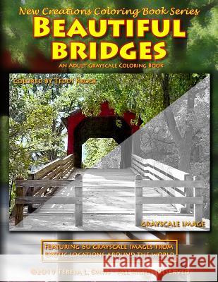 New Creations Coloring Book Series: Beautiful Bridges Brad Davis Teresa Davis 9781947121706 New Creations Coloring Book Series - książka