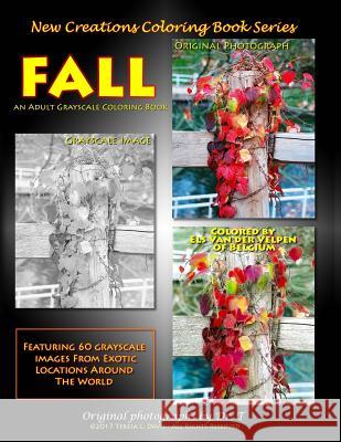 New Creations Coloring Book Series: Fall Dr Teresa Davis Brad Davis Dr Teresa Davis 9781947121164 New Creations Coloring Book Series - książka