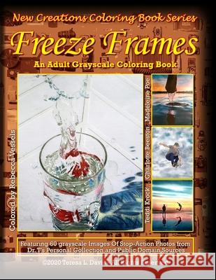 New Creations Coloring Book Series: Freeze Frames Brad Davis Teresa Davis 9781951363222 New Creations Coloring Book Series - książka