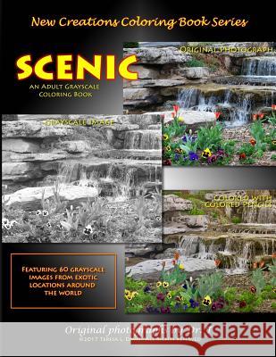 New Creations Coloring Book Series: Scenic Dr Teresa Davis Dr Teresa Davis Brad Davis 9781947121072 New Creations Coloring Book Series - książka