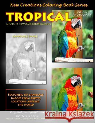 New Creations Coloring Book Series: Tropical Dr Teresa Davis Brad Davis Dr Teresa Davis 9781947121140 New Creations Coloring Book Series - książka