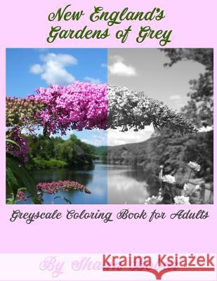 New England's Gardens of Grey: A Greyscale Coloring Book for Adults Shawn Bobar 9781987485790 Createspace Independent Publishing Platform - książka