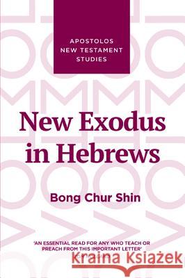 New Exodus in Hebrews Bong Chur Shin 9781532669866 Wipf & Stock Publishers - książka