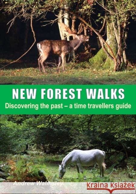 New Forest Walks Andrew Walmsley 9781850589112 Sigma Press - książka