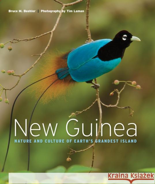 New Guinea: Nature and Culture of Earth's Grandest Island Bruce M. Beehler Tim Laman 9780691180304 Princeton University Press - książka