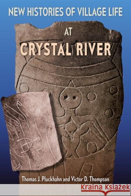 New Histories of Village Life at Crystal River Thomas J. Pluckhahn Victor D. Thompson 9781683400356 University of Florida Press - książka