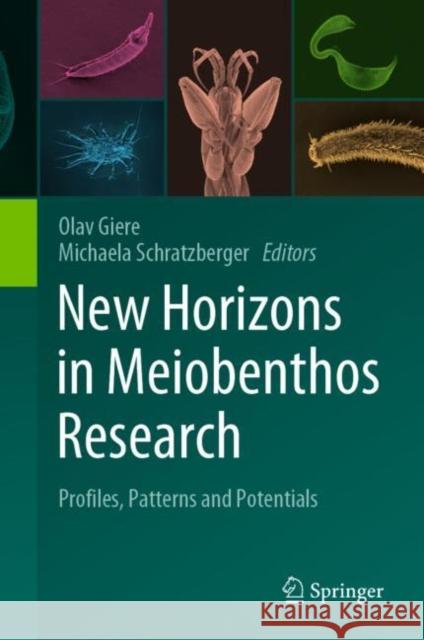 New Horizons in Meiobenthos Research: Profiles, Patterns and Potentials Olav Giere Michaela Schratzberger 9783031216213 Springer - książka