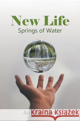 New Life: Springs of Water Andrew Choi 9781952648366 Andrew Choi - książka