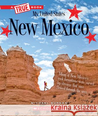 New Mexico (a True Book: My United States) Burgan, Michael 9780531250853 C. Press/F. Watts Trade - książka