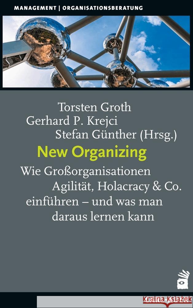 New Organizing  9783849705978 Carl-Auer - książka