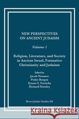 New Perspectives on Ancient Judaism Richard Horsley Jacob Neusner Peder Borgen 9781930675315 Brown Judaic Studies - książka